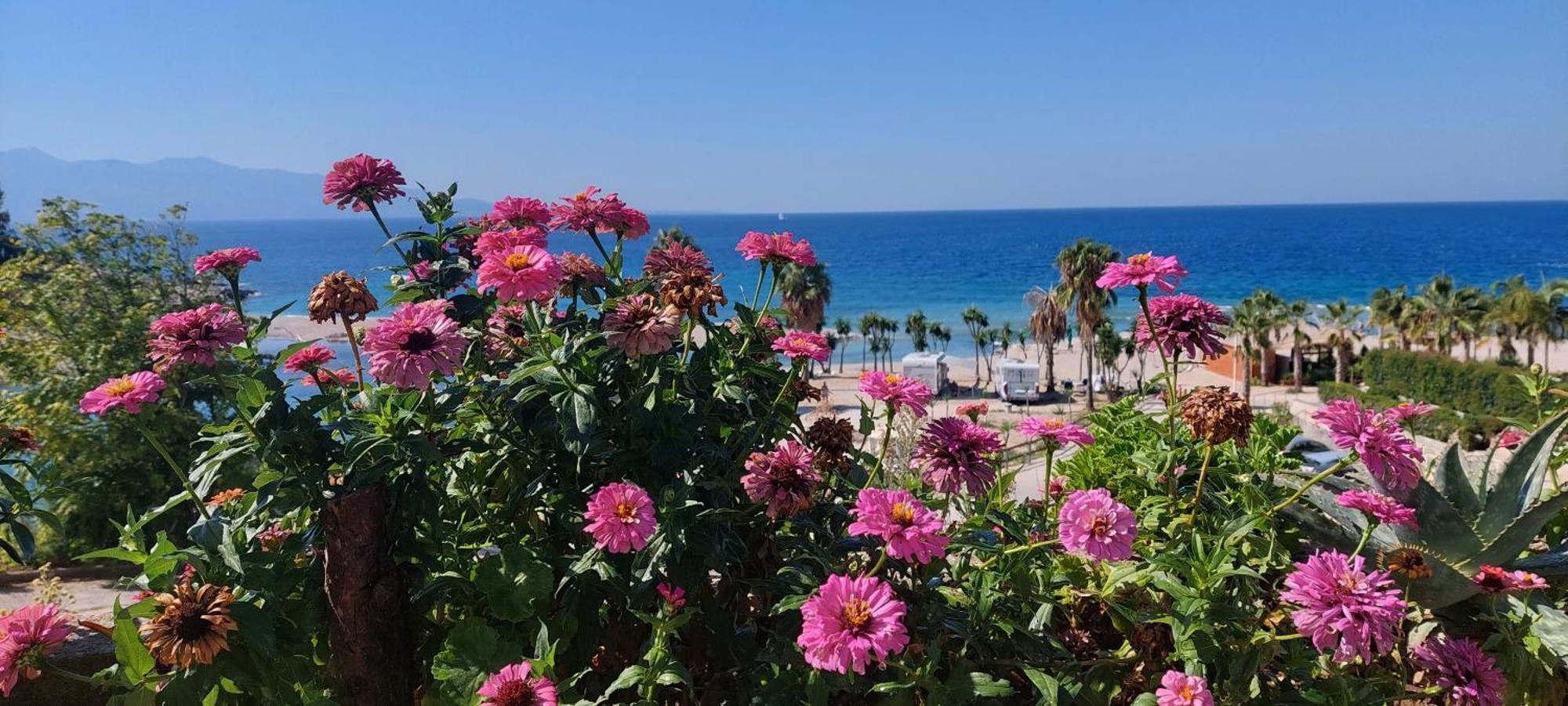 Apartment Tinka In Saranda Kültér fotó